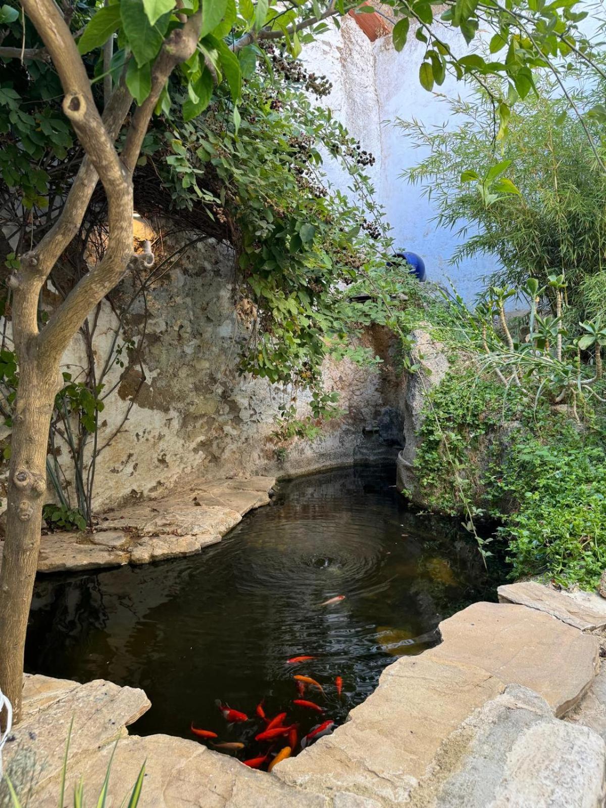 Despertar Villa Antequera Buitenkant foto