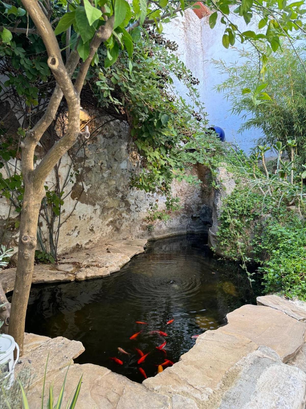 Despertar Villa Antequera Buitenkant foto