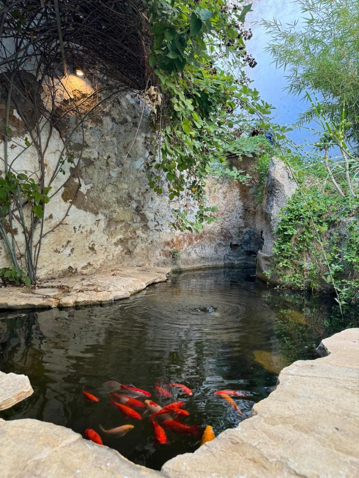Despertar Villa Antequera Buitenkant foto